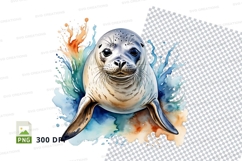 Playful seal in water Product Image 1
