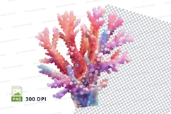 Colorful coral reef Product Image 1