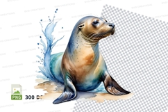 Playful seal on the beach Product Image 1