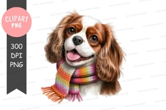 Happy dog wearing scarf Product Image 1