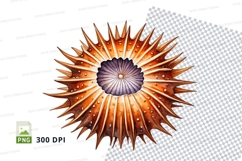 Sea urchin clipart Product Image 1