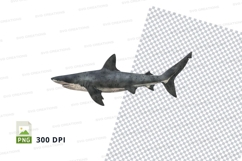 Great white shark clipart Product Image 1