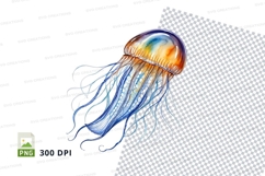 Colorful jellyfish clipart Product Image 1