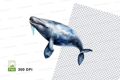 Whale clipart png Product Image 1