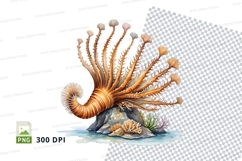 Sea anemone clipart Product Image 1