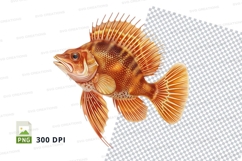 Orange fish clipart Product Image 1