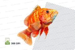 Vibrant orange fish Product Image 1