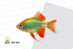 Colorful tropical fish Product Image 1