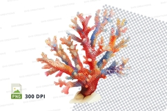 Colorful coral reef Product Image 1