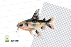 Illustrated fish Product Image 1
