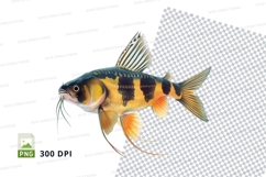 Vibrant tropical fish Product Image 1