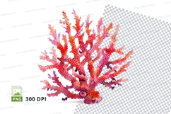 Colorful coral reef Product Image 1