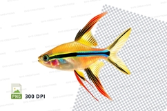 Vibrant tropical fish Product Image 1