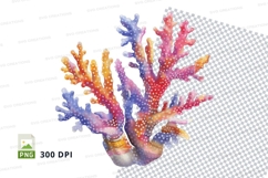 Colorful coral reef Product Image 1