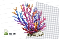 Colorful coral reef Product Image 1