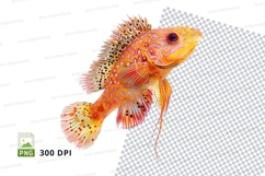 Vibrant orange clownfish Product Image 1