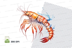 Vibrant shrimp clipart Product Image 1