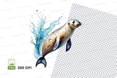 Playful seal in water Product Image 1