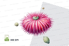 Pink sea urchin clipart Product Image 1