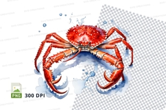 Vibrant red crab illustration Product Image 1