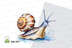 Snail clipart png Product Image 1