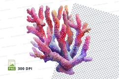 Colorful coral reef Product Image 1
