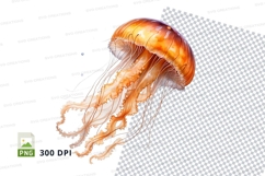 Vibrant orange jellyfish Product Image 1