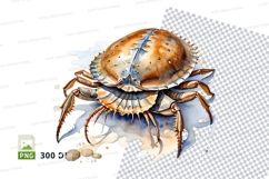 Illustrated crab Product Image 1