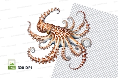 Octopus clipart png Product Image 1