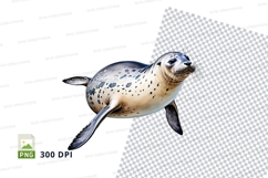 Seal clipart png Product Image 1