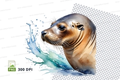 Playful seal in water Product Image 1