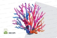 Colorful coral reef Product Image 1