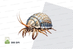 Illustration of a woodlouse Product Image 1