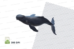 Clipart of a whale Product Image 1