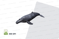 Humpback whale clipart Product Image 1