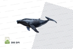 Humpback whale clipart Product Image 1