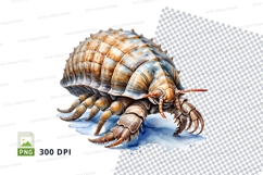 Isopod clipart png Product Image 1