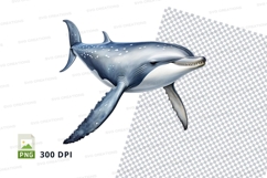 Gray dolphin clipart Product Image 1