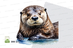 Sea otter clipart Product Image 1