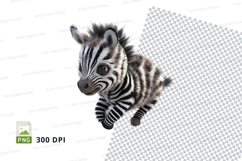 Cute baby zebra Product Image 1