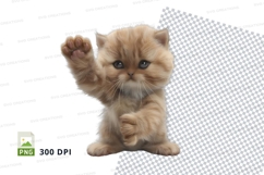 Adorable kitten raising paw Product Image 1