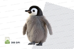 Baby penguin Product Image 1