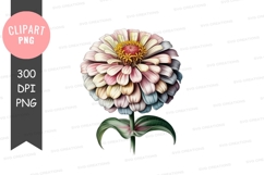 Delicate pink and white flower clipart png Product Image 1