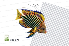 Colorful clownfish Product Image 1