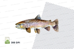 Brown trout illustration Product Image 1