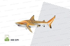 Tiger shark clipart png Product Image 1