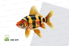 Colorful tropical fish Product Image 1