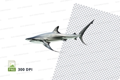 Shark clipart png Product Image 1