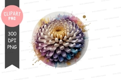 Colorful chrysanthemum clipart png Product Image 1
