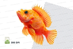 Vibrant orange fish Product Image 1